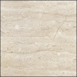 Gạch lát sàn Trường Thịnh WALL TILES TT3603